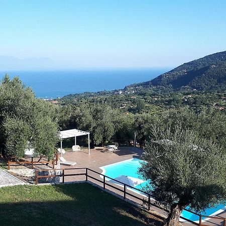 Tenuta Terre Di Bosco San Giovanni a Piro Buitenkant foto